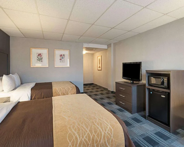 Room, King Bed, Comfort Inn Ballston 3/3