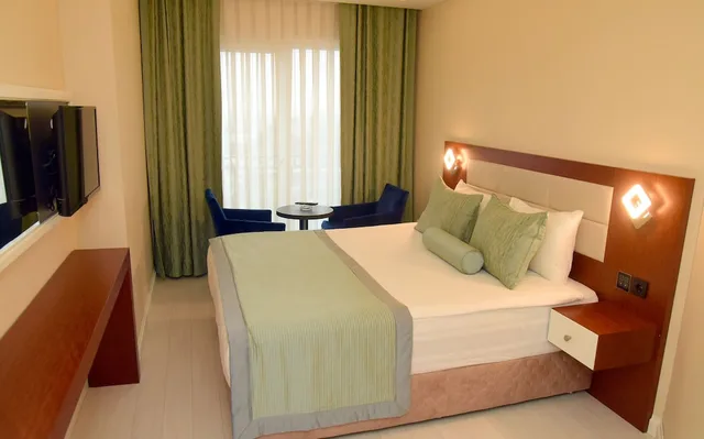 Standard, Queen Bed, Vatan Asur 6/10