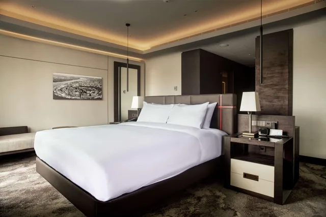 جناح رئاسي بسرير مزدوج، Hilton Belgrade 1/4