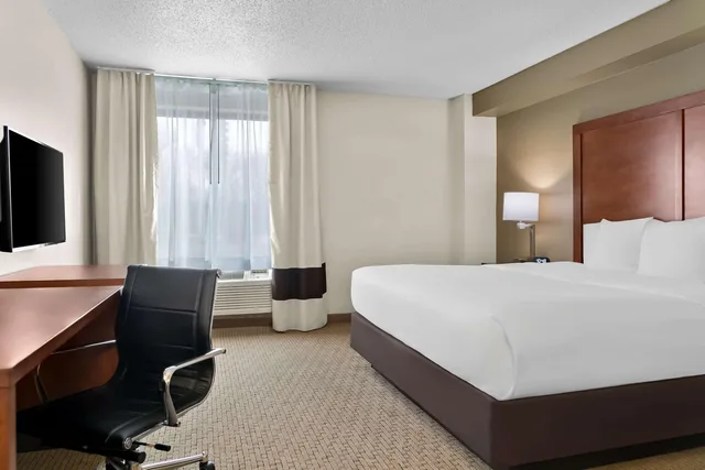 Room, King Bed, Comfort Inn & Suites Taylor - Detroit 4/10