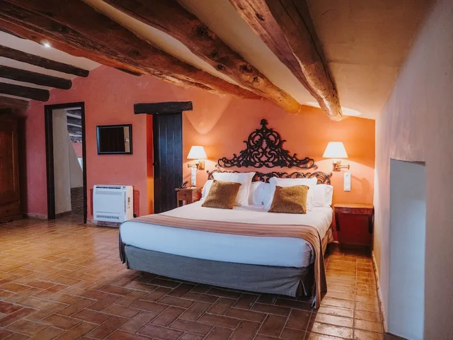 جناح ديلوكس بسرير كينج مع أريكة، Hotel Mas Salvi 1/3
