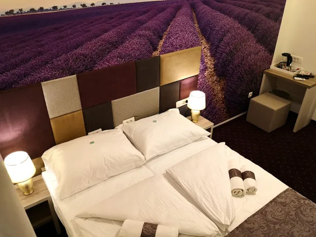 Superior, Twin Beds, Hotel & Spa Meydan 4/9