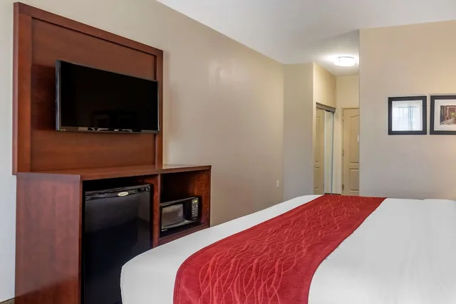غرفة قياسية بسرير كينج، Comfort Inn & Suites Villa Rica, GA 1/1