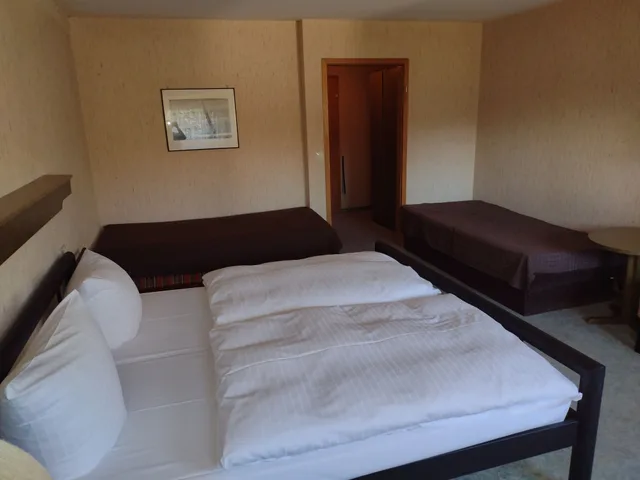 Retro, Comfort, Family, 1 Double and 1 Single Bed, Balcony، Hotel Waldblick 8/10