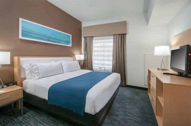 جناح بسرير كينج بغرفة نوم واحدة لذوي الإعاقة، Holiday Inn Express & Suites San Antonio Rivercenter Area, an IHG Hotel 1/1