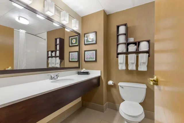 جناح تنفيذي بسرير كينج، Comfort Suites Regency Park 4/6