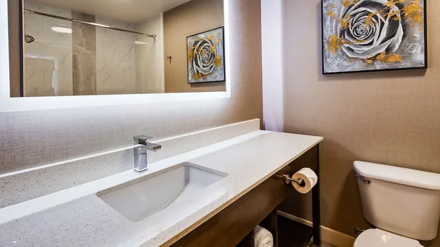 غرفة قياسية بسرير كينج يُسمح فيها بالحيوانات الأليفة، Best Western Independence Kansas City 10/10