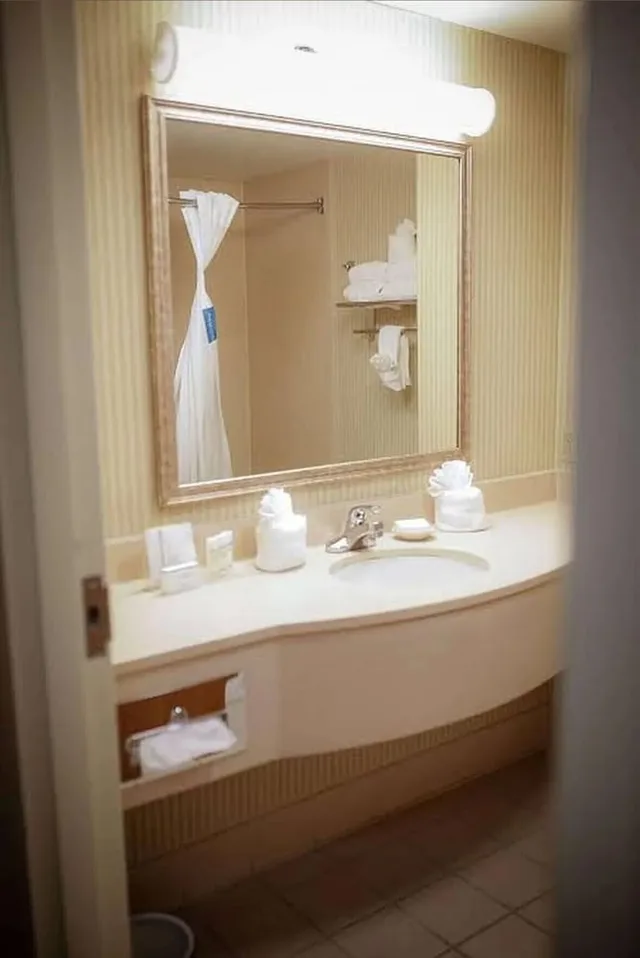 Basic, Single, King Bed, Best Western Cheyenne 1/1