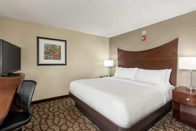 غرفة ديلوكس بسرير كينج، Doubletree By Hilton Hotel Jackson 6/10