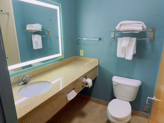 غرفة مفردة بسرير كينج مع أريكة، Best Western Plus Glen Allen Inn 7/8