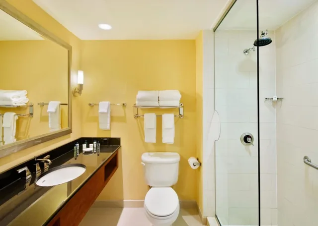 غرفة قياسية بسرير كينج، Wyndham Gettysburg 8/9