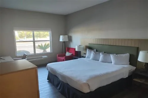 جناح بسرير كينج بغرفة نوم واحدة لذوي الإعاقة، Country Inn and Suites By Radisson Hinesville GA 1/1