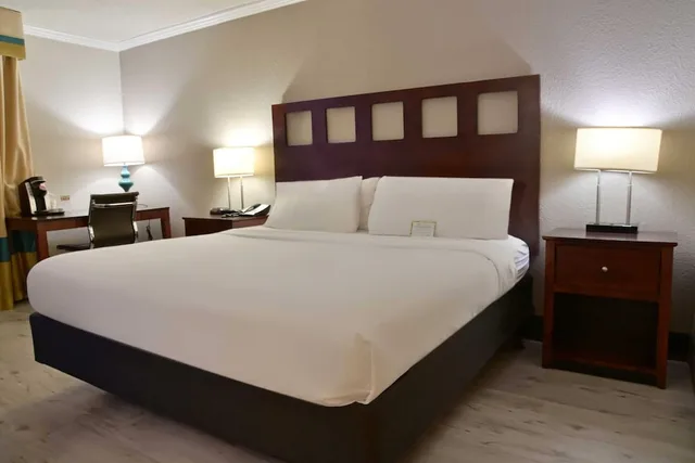 غرفة كلاسيكية بسرير كينج، Wyndham Garden Summerville 4/10