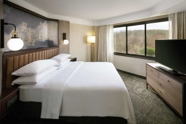 جناح بريميوم بسرير كينج بغرفتين، Embassy Suites Tysons Corner 4/4