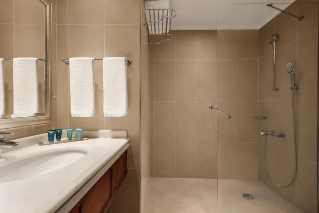 غرفة ديلوكس بسرير فردي، Wyndham Grand Kayseri 6/7