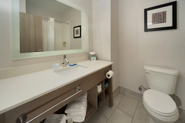 غرفة قياسية بسرير كينج مع أريكة، Holiday Inn Express & Suites Memphis Arpt Elvis Presley Blv 5/5