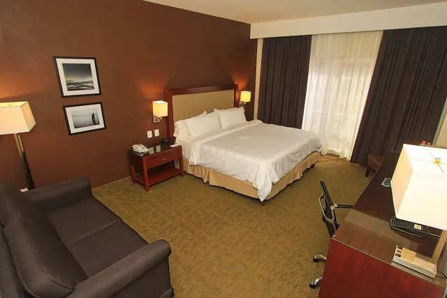غرفة قياسية بسرير كينج، Holiday Inn Leon 10/10