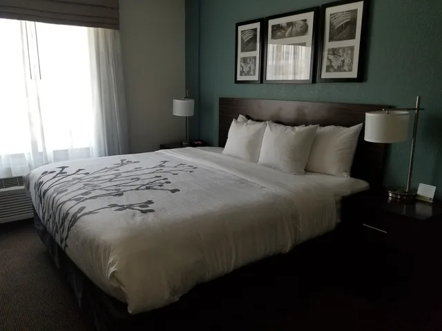 جناح بسرير كينج مع أريكة، Sleep Inn and Suites Ames near ISU Campus 1/7