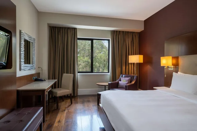 جناح رئاسي مع دخول الصالة، Radisson Blu Hotel, Addis Ababa 2/10