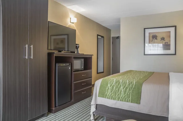 غرفة قياسية بسرير كينج في الطابق الأرضي، Comfort Inn Chatham 8/10