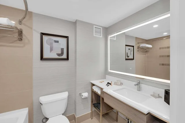 Evolution, Suite, King Bed، Hilton Garden Inn Brampton 2/3