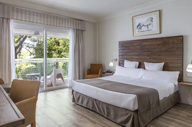 Superior, King Bed, Hotel Jerez AQ35 2/10