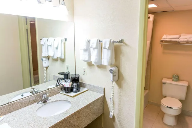 Upstairs, Single, Queen Bed, No Elevator، Quality Inn & Suites Big Rapids near University 6/7