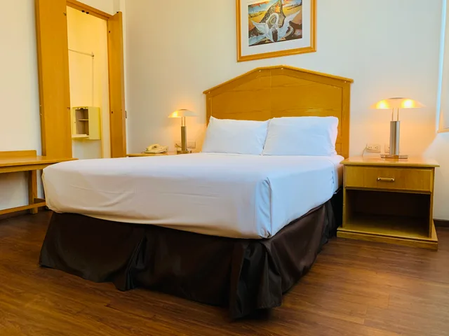 غرفة بسرير مزدوج، The Ritz Ex Tulip Inn 2/6