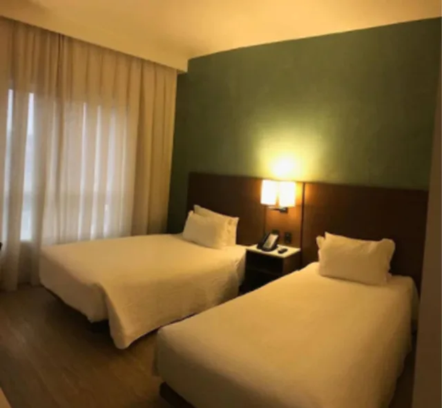 شقة بسريرين منفصلين، Ibis Styles Curitiba Airport Hotel 1/10