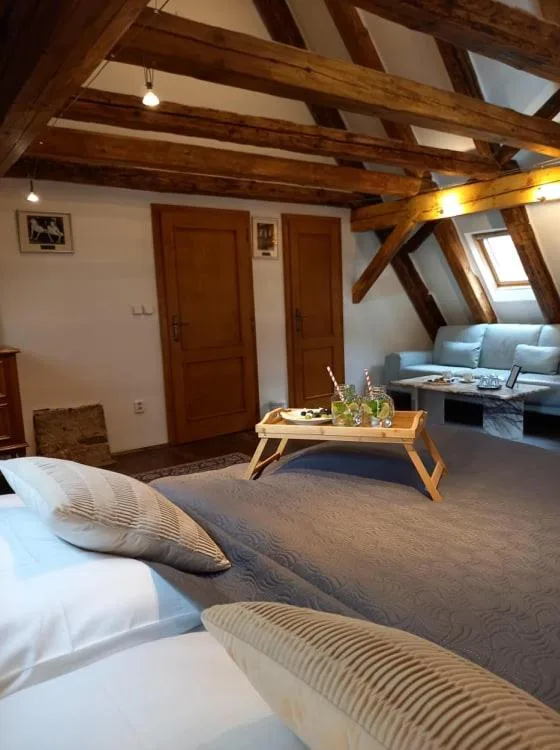 Suite, Attic، Hotel-Restaurant Svamberský Dum 5/10