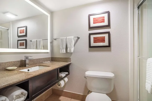 غرفة قياسية بسرير كينج، Comfort Inn & Suites Cornelius Lake Norman NC 5/7