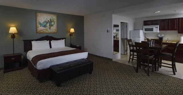 جناح بسرير كينج بغرفة نوم واحدة مع أريكة، D. Hotel and Suites 1/8