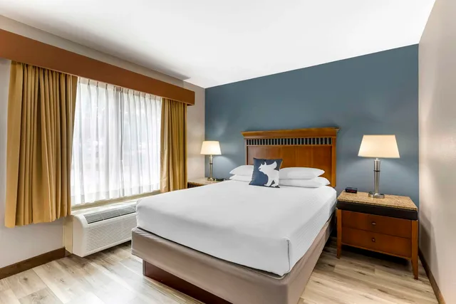 جناح بسرير كينج مع أريكة لذوي الإعاقة، Best Western Denver Southwest 1/4