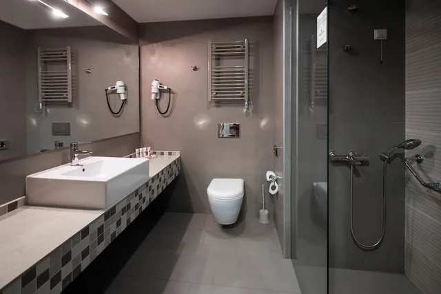 Efficiency, Queen Bed، Ramada by Wyndham Podgorica 4/4