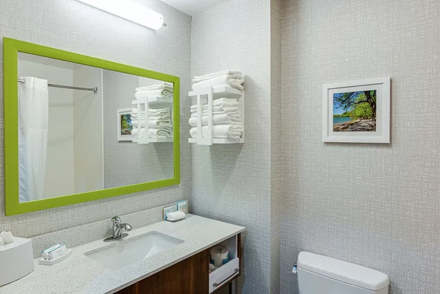 غرفة بسرير كينج، Hampton Inn Oak Grove Fort Campbell 3/3