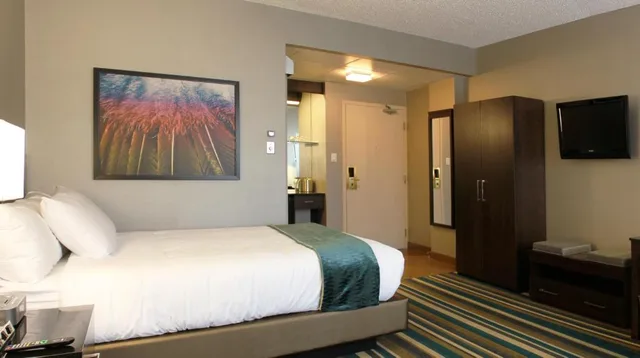 Room, Queen Bed, Hotel Blackfoot 3/6