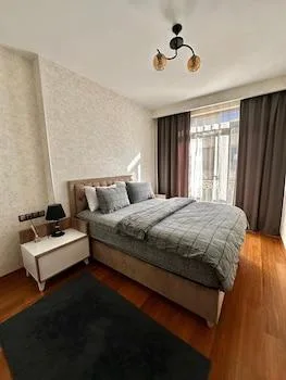 غرفة تنفيذية بسرير كوين وسرير فردي، Sabiha Gokcen Hotel Istanbul Houses 1/1