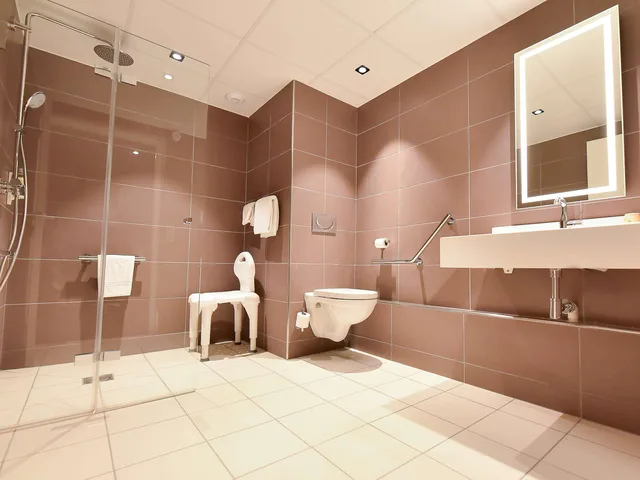 غرفة قياسية، MERCURE BLOIS CENTRE 8/8