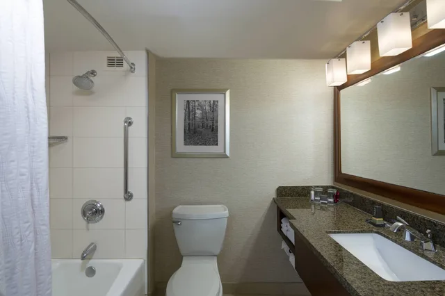غرفة ديلوكس بسرير كينج، Hanover Marriott 4/8
