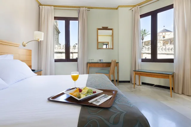 غرفة قياسية بسرير مزدوج، Eurostars Maimonides 2/4