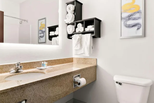 جناح بسرير كوين، Holiday Inn Express & Suites Southfield - Detroit 6/6