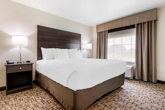 جناح بسرير كينج، Comfort Inn & Suites Medina NY near Erie Canal 1/3