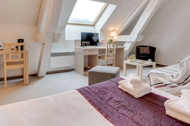 استوديو سوبيريور بسرير مزدوج، Residhotel Central Gare 4/6