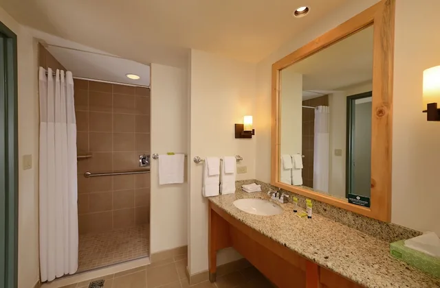 Family Suite, 2 Queen Beds, Sofa, Great Wolf Lodge Colorado Springs 4/4