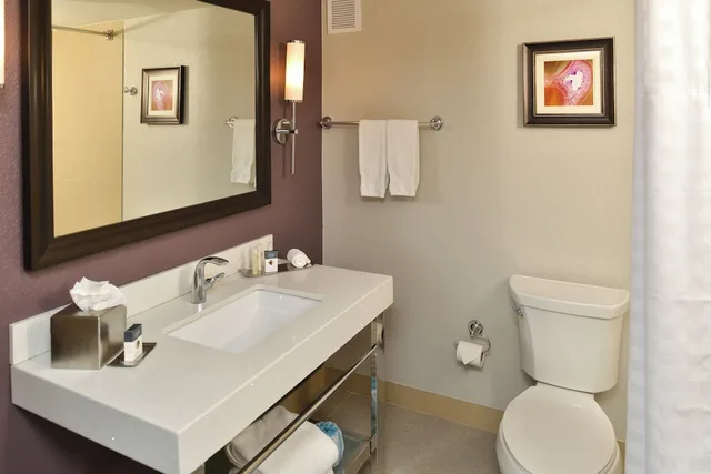 Room, King Bed, Allergy Friendly، DoubleTree by Hilton Orlando East - UCF Area 6/7