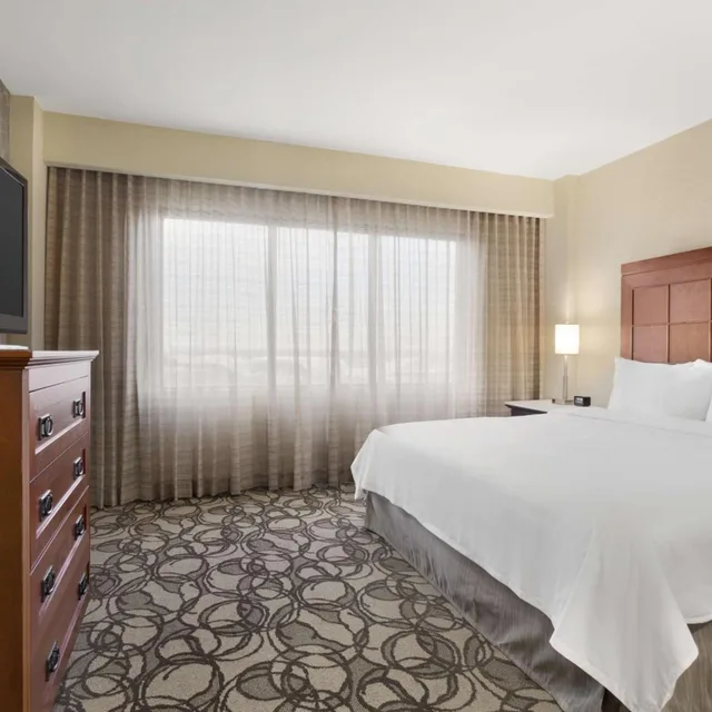 جناح استوديو بسرير كينج بغرفة نوم واحدة لذوي الإعاقة، Embassy Suites by Hilton San Antonio Airport 1/5