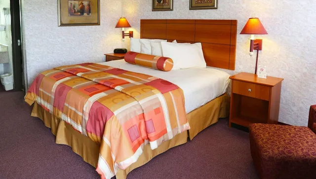 Room, King Bed, Allergy Friendly، Magnuson Hotel Howell/Brighton 2/5
