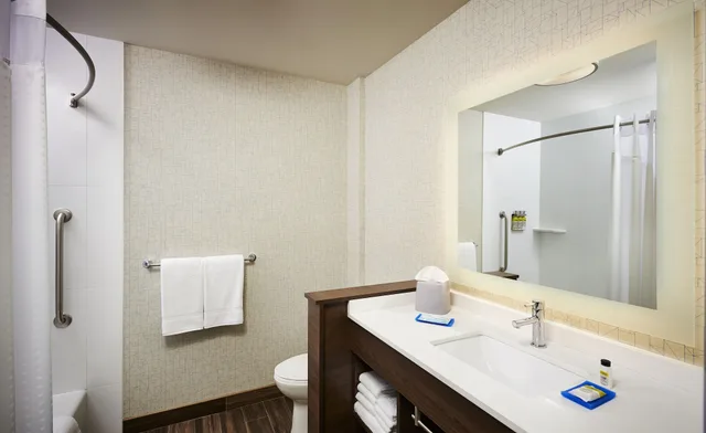 جناح بسرير كينج مع أريكة بمنطقة جلوس، Holiday Inn Express And Suites Brantford 2/2