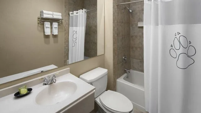غرفة عائلية، Great Wolf Lodge Wisconsin Dells 5/5