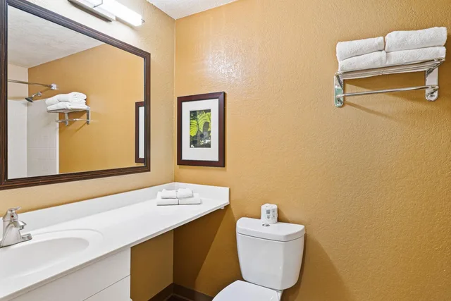 Deluxe, Studio, King Bed, Extended Stay America -Washington Dc-Falls Church-Merrifield 9/10